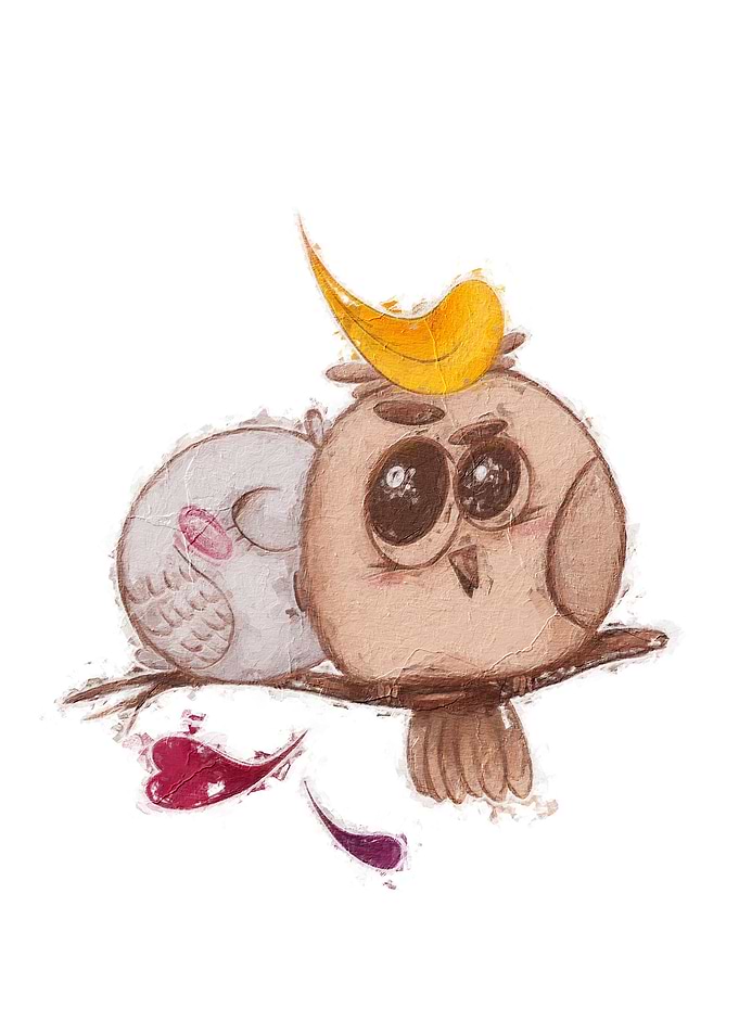 cute bird