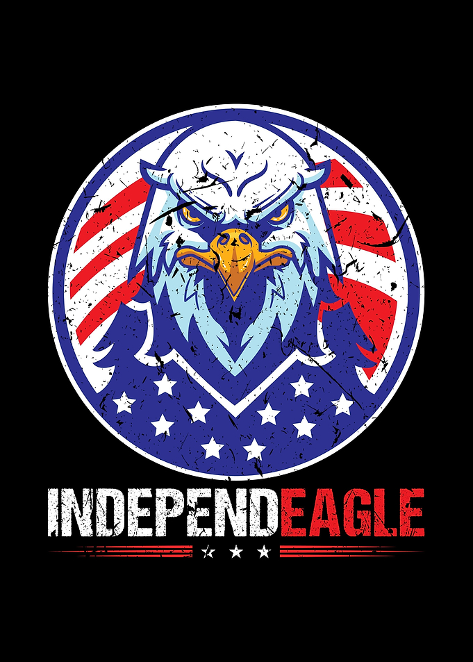 4th Of July Eagle