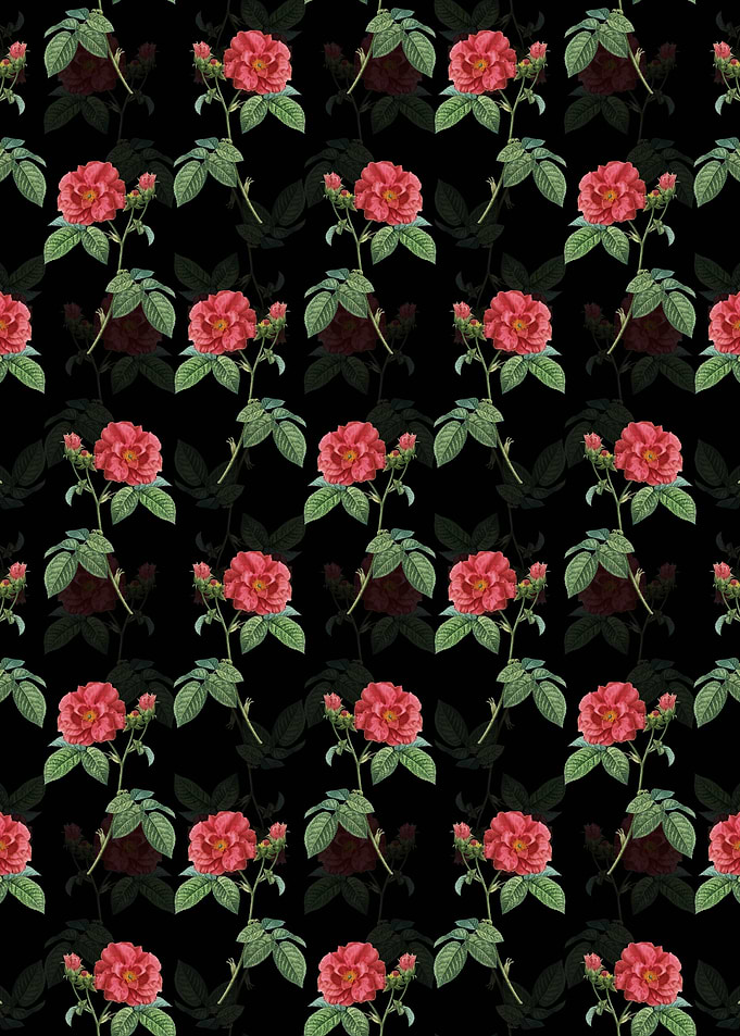 Apothecary Rose Pattern
