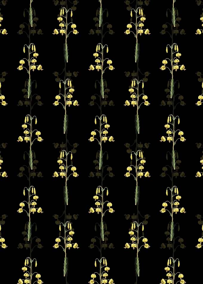 Lilium Pyrenaicum Pattern