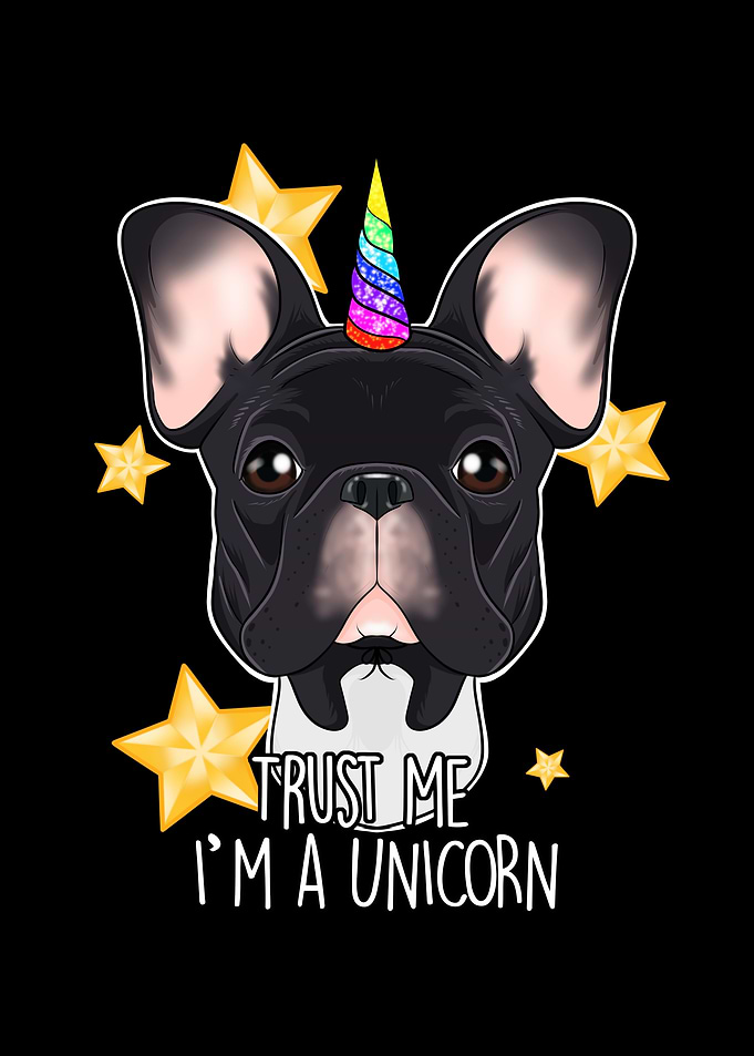 French Bulldog Unicorn