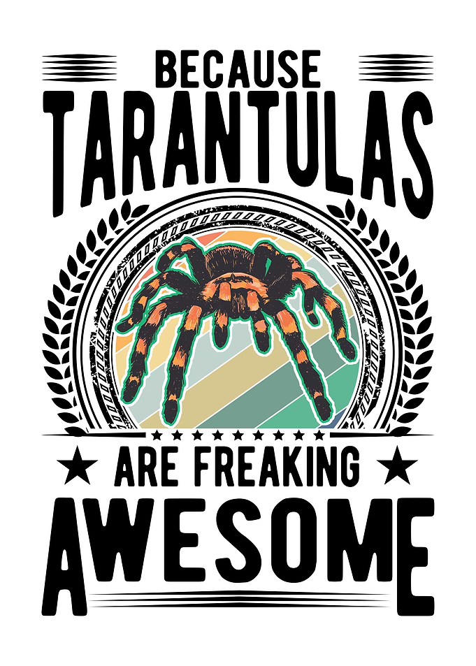 Tarantula Spider