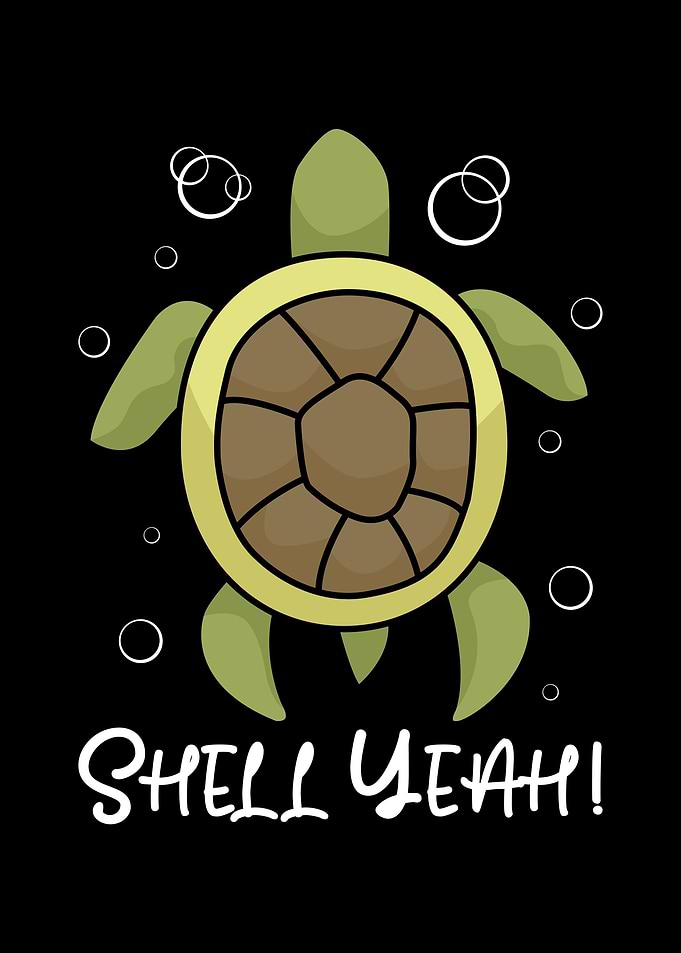 Sea Turtle