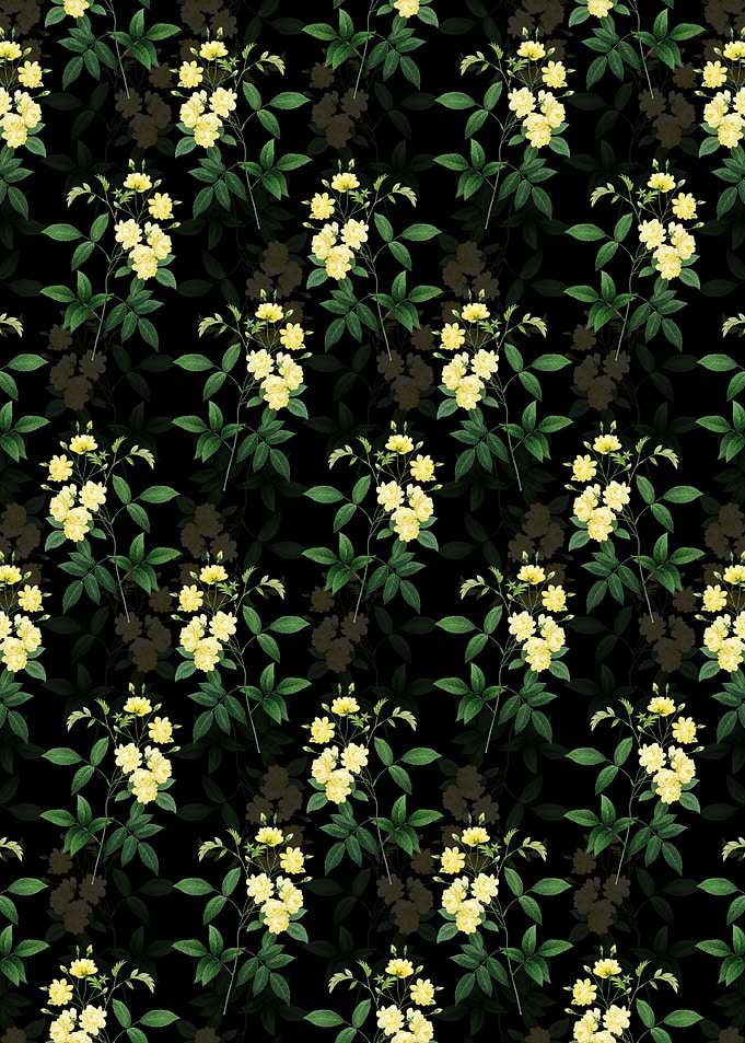 Lady Banks Rose Pattern