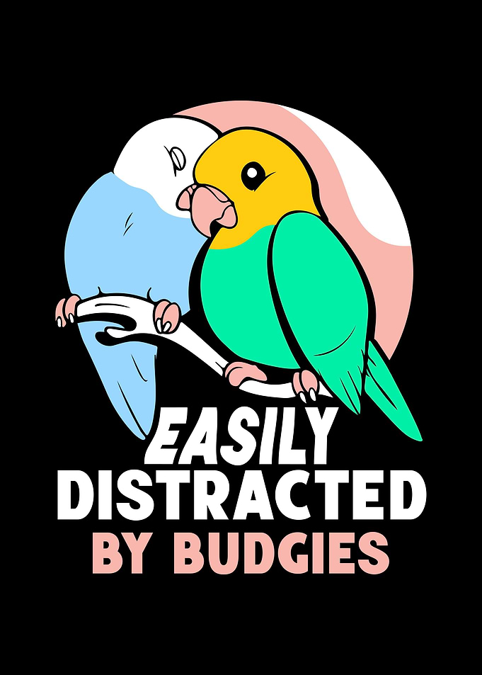 Budgie Budgeriga