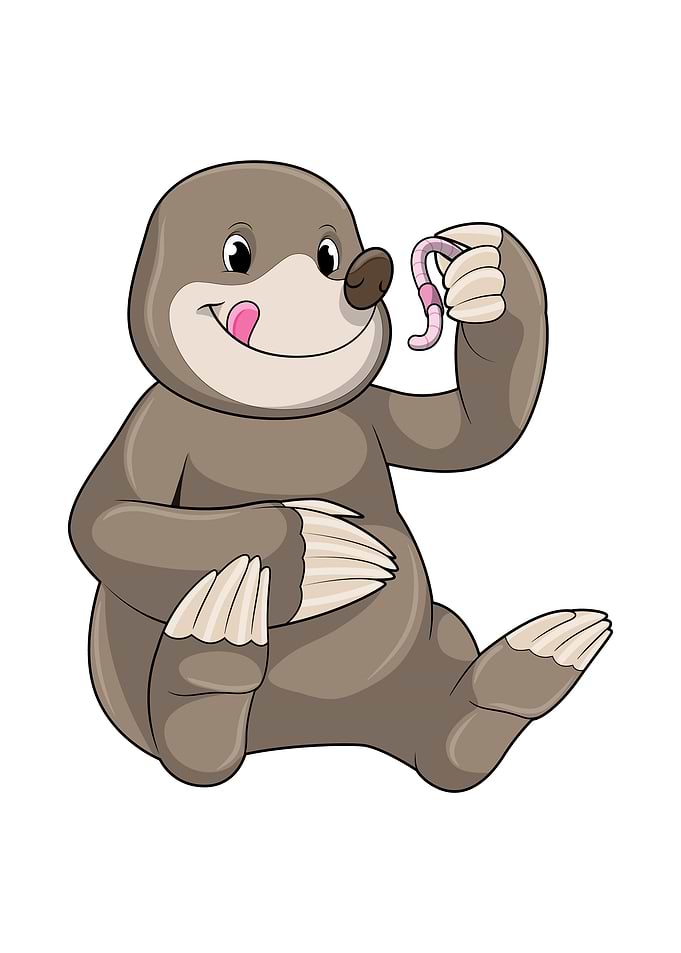 Mole Earthworm
