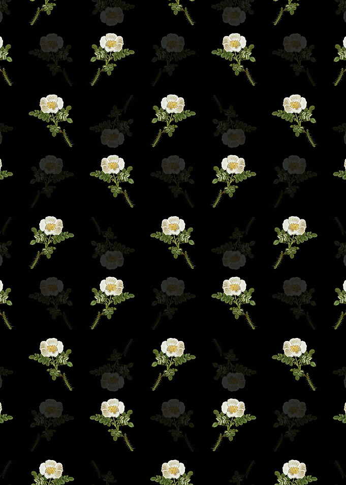 Floral Burnet Rose Pattern
