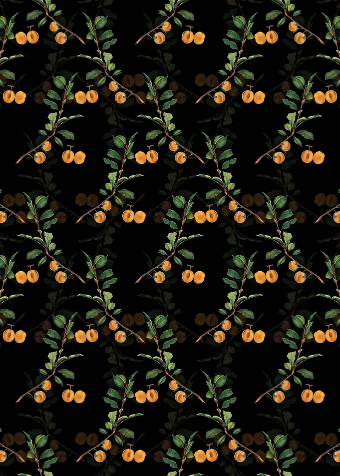 Floral Apricot Pattern