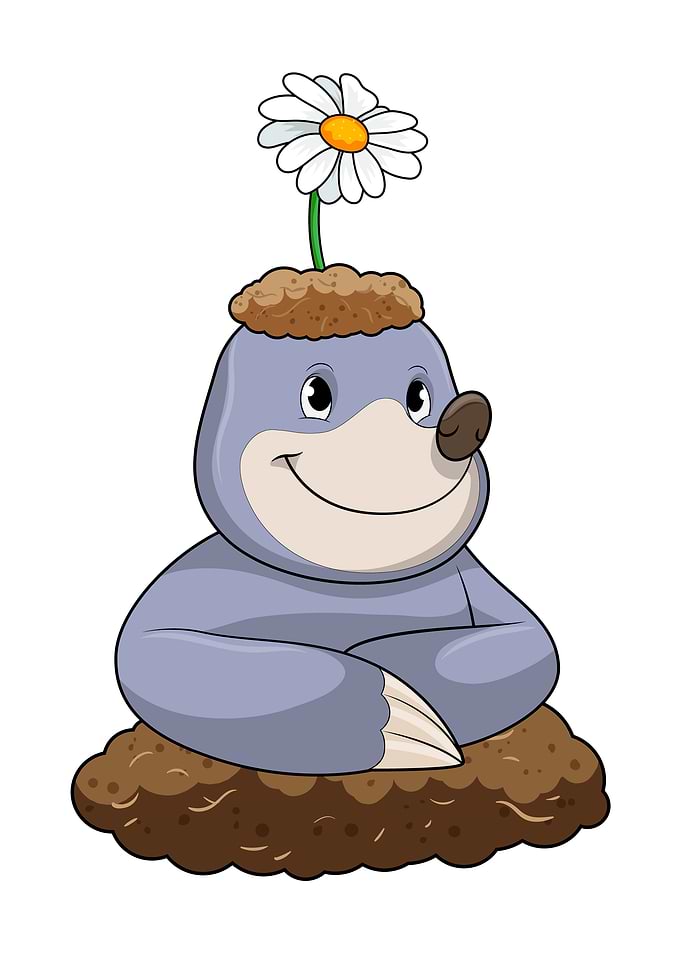 Mole Daisy Flower