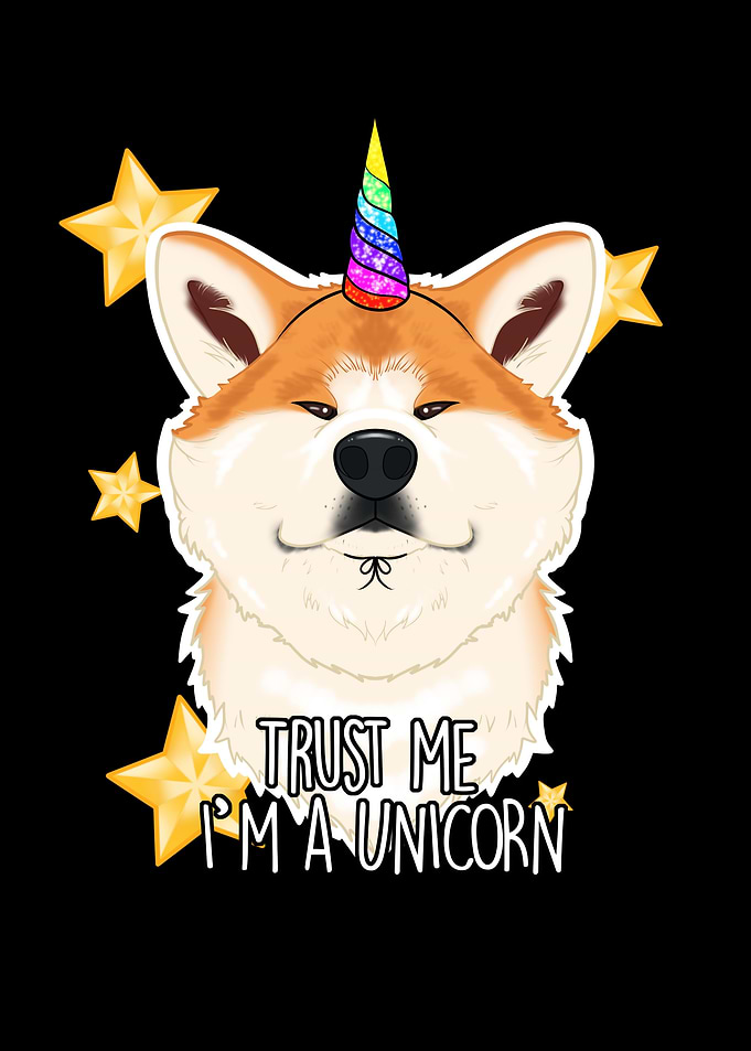Unicorn Akita Inu