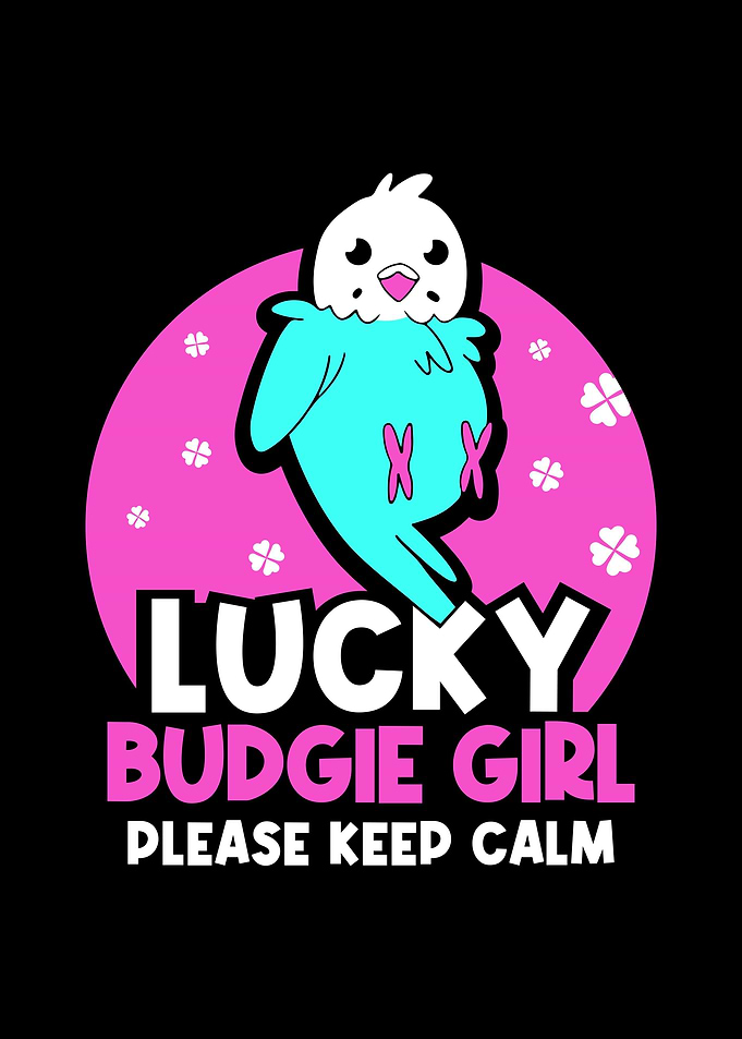 Budgie Budgeriga