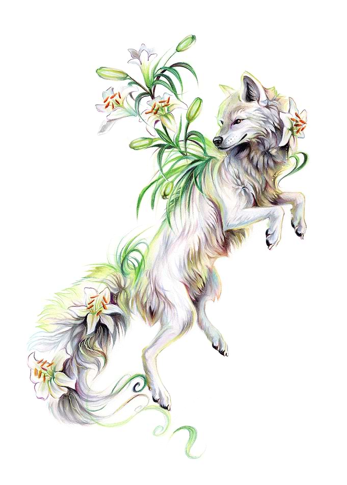 White Lily Wolf
