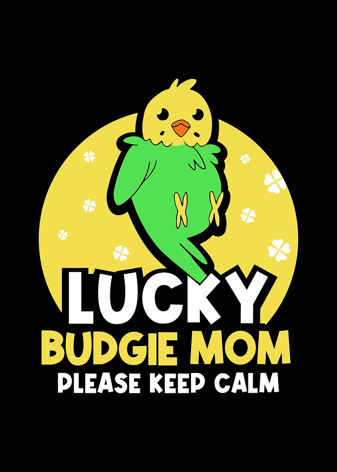 Budgie Budgeriga