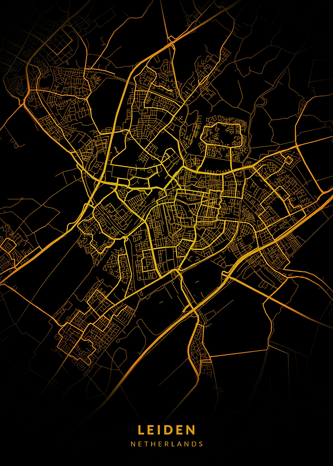 Leiden City Map
