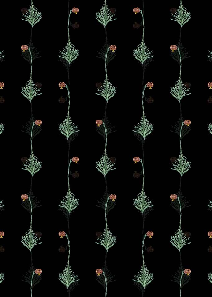 Scarlet Martagon Lily