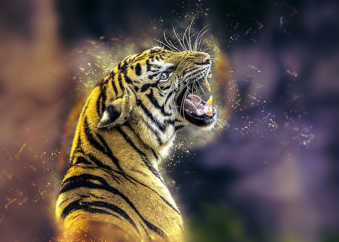 Tiger Watercolor