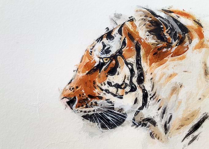 Tiger Watercolor