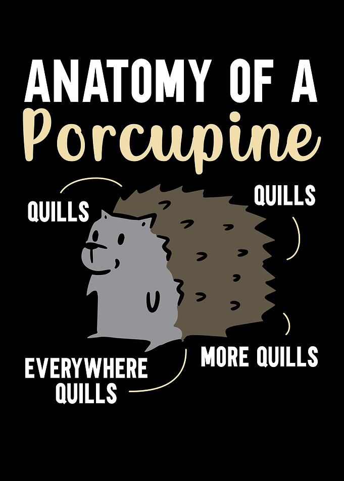 Anatomy Of A Porcupine