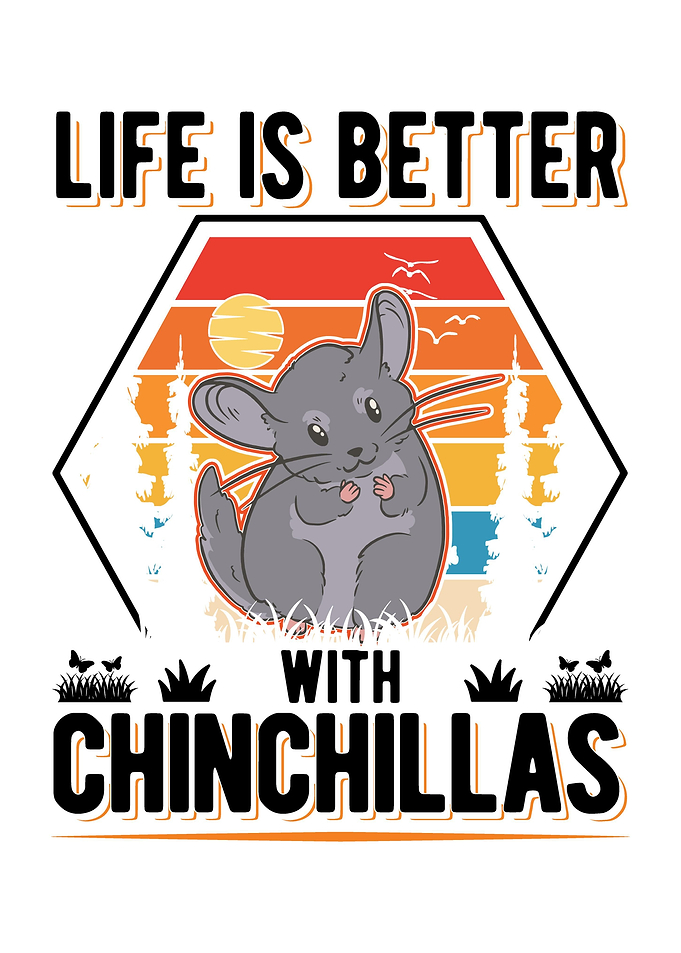 Chinchilla Lover