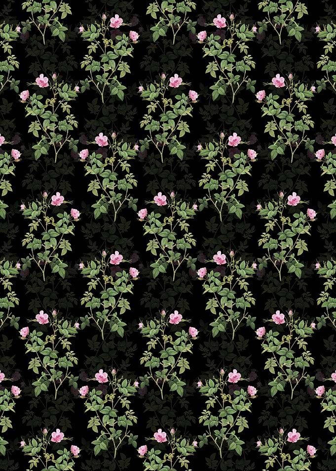 Pink Flowering Rosebush