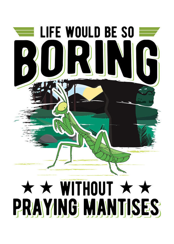 Praying Mantis