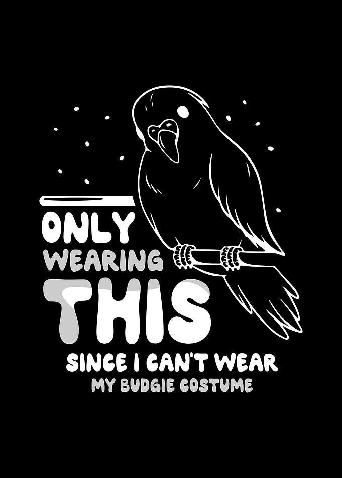 Budgie Budgeriga