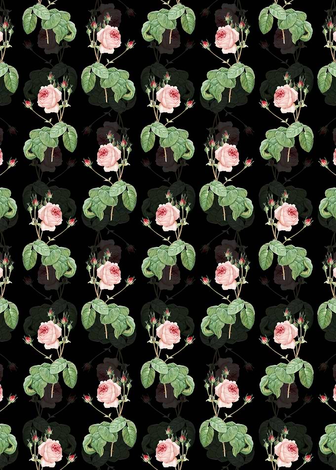 Black Cabbage Rose Pattern