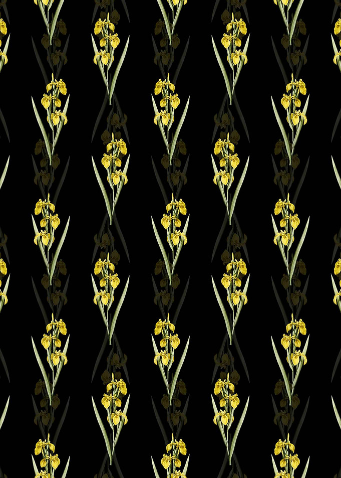 Floral Irises Pattern