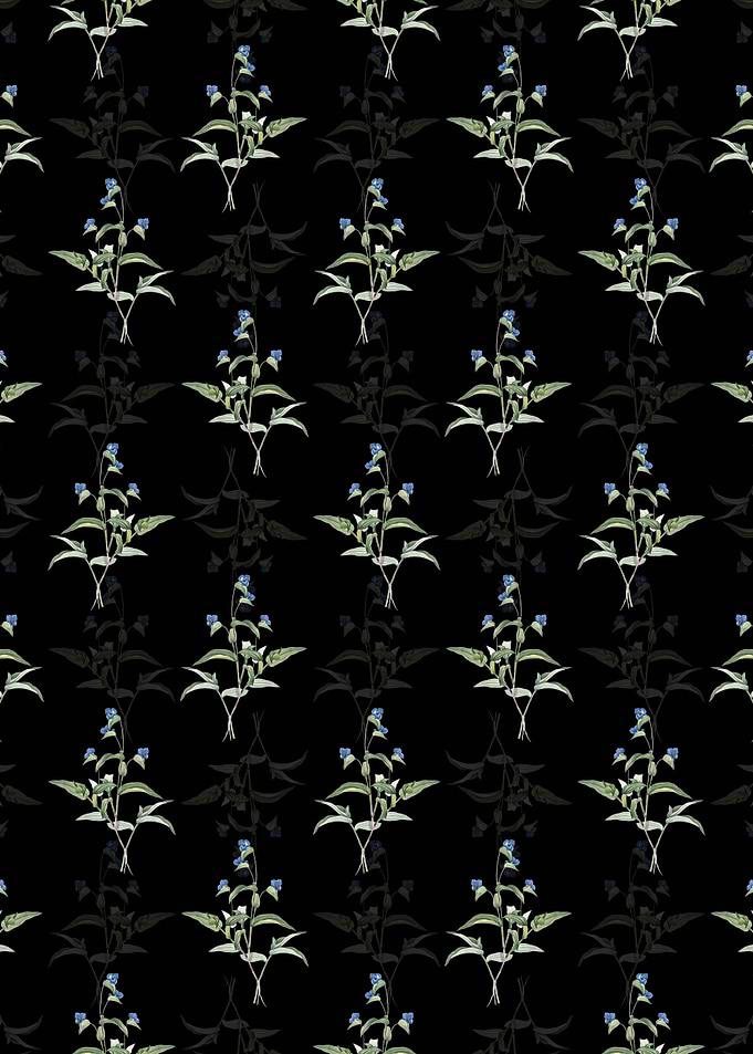 Blue Spiderwort Pattern