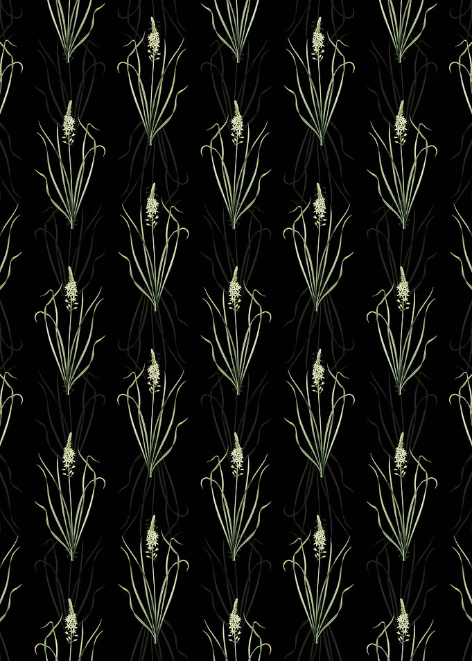 Wild Asparagus Pattern