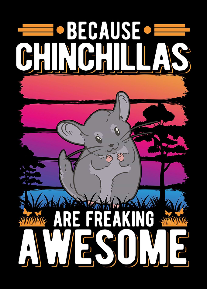 Chinchilla Lover