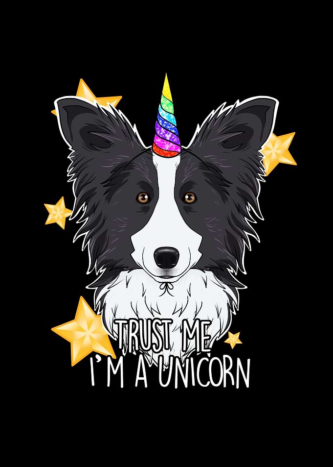 Border Collie Unicorn