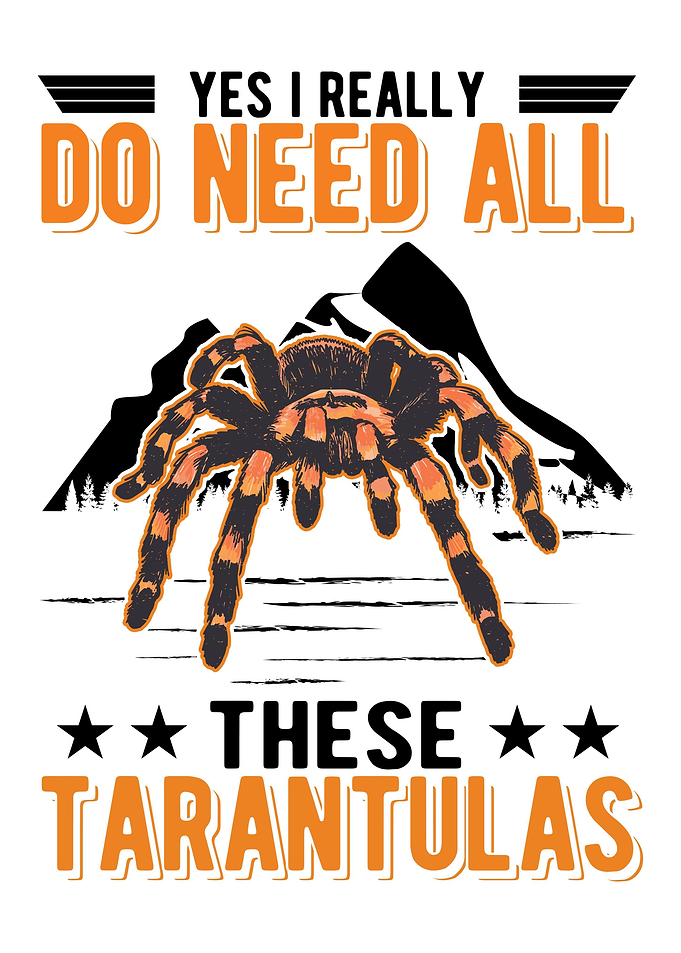 Tarantula Spider