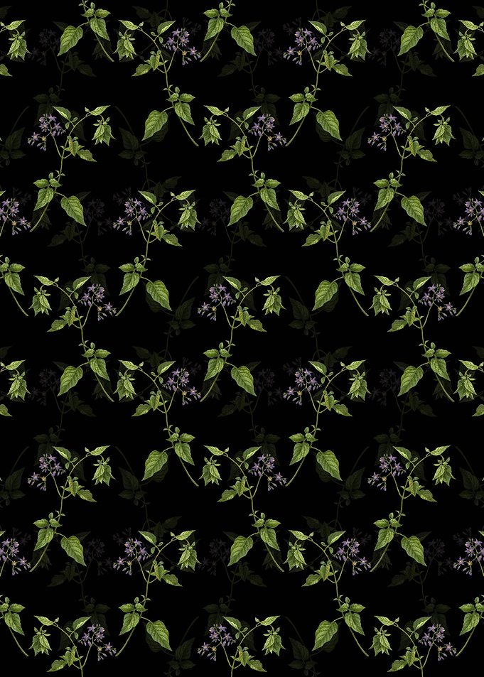 Floral Bittersweet Pattern