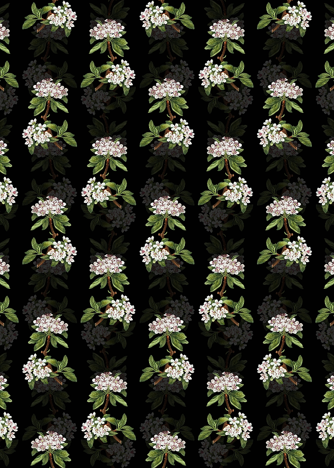 Almond Leaved Pear Pattern