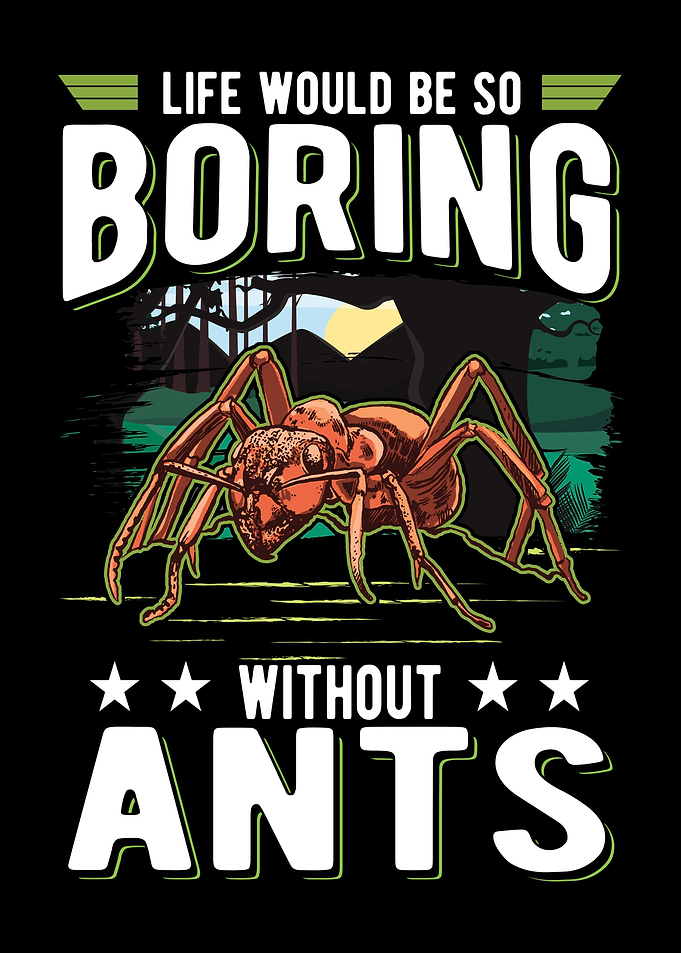 Ant Farm Ant Keeper