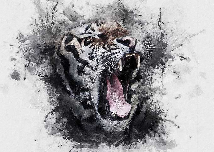 Tiger Watercolor