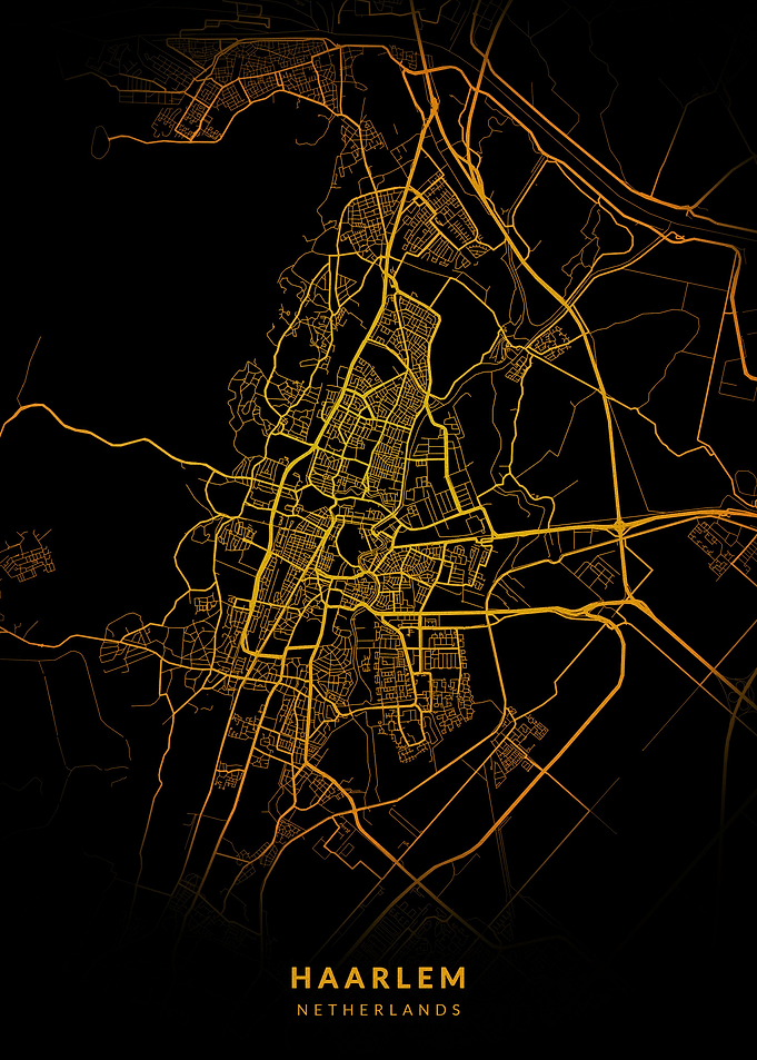 Haarlem City Map