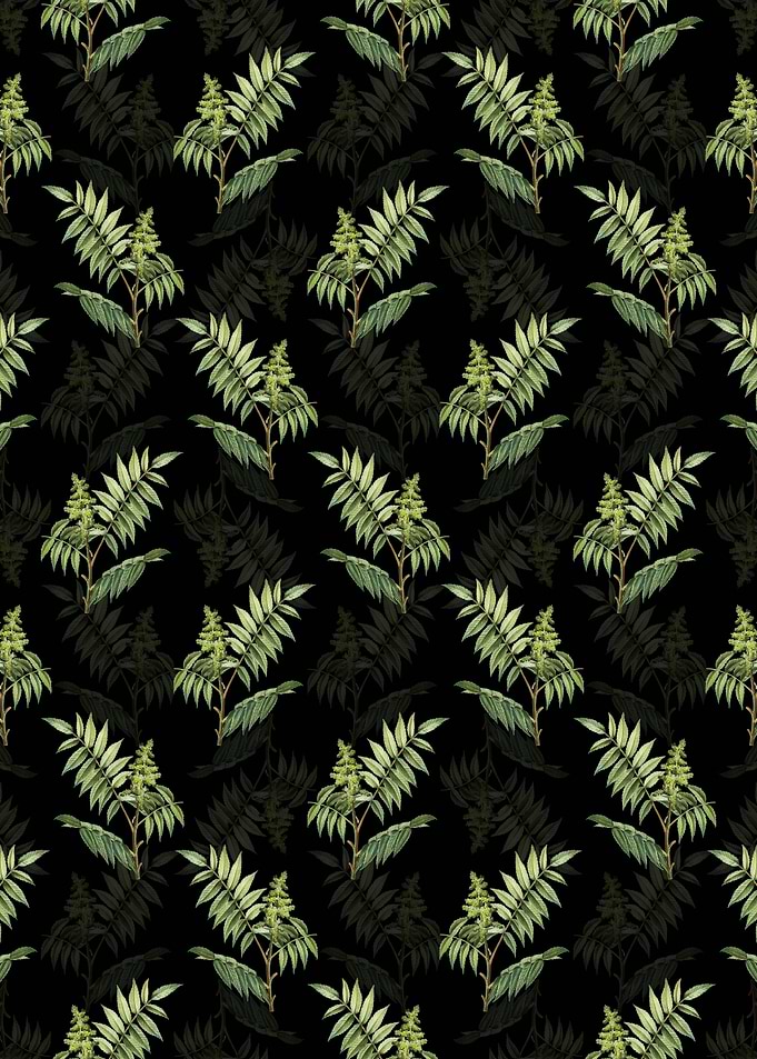 Staghorn Sumac Pattern