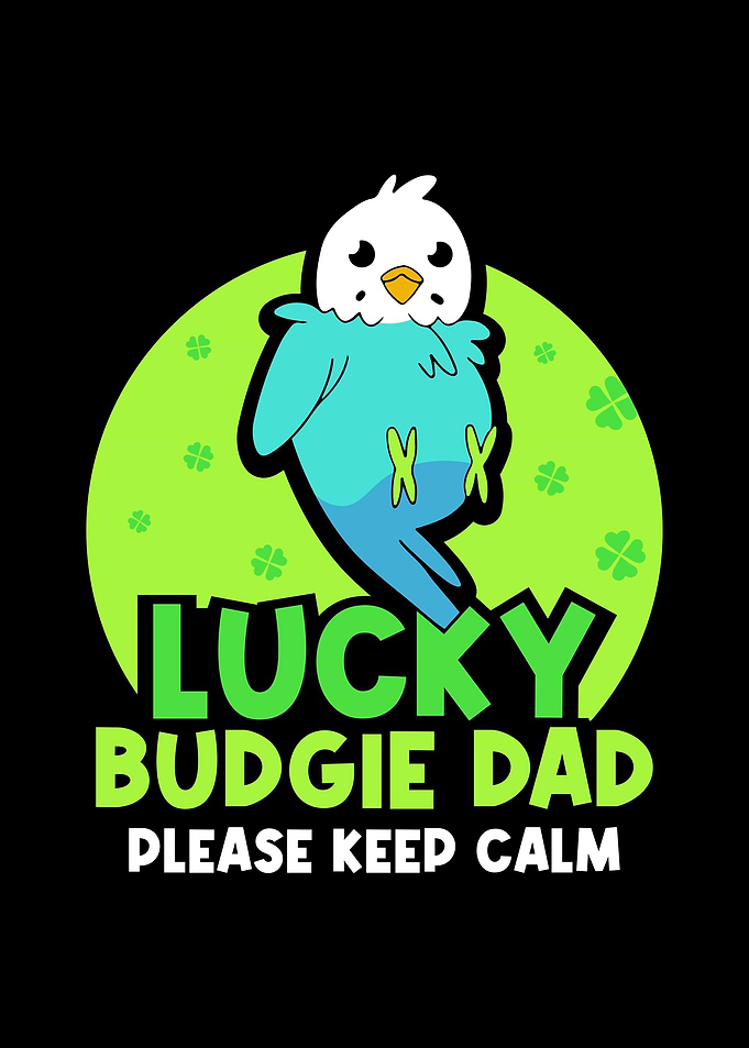 Budgie Budgeriga