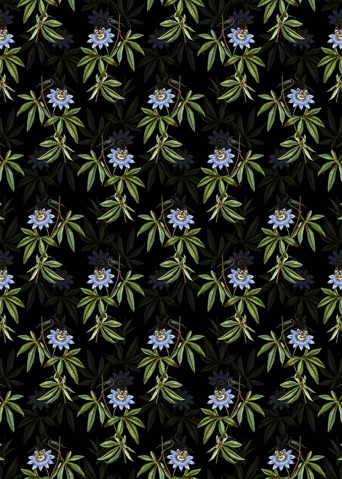 Blue Passionflower Pattern