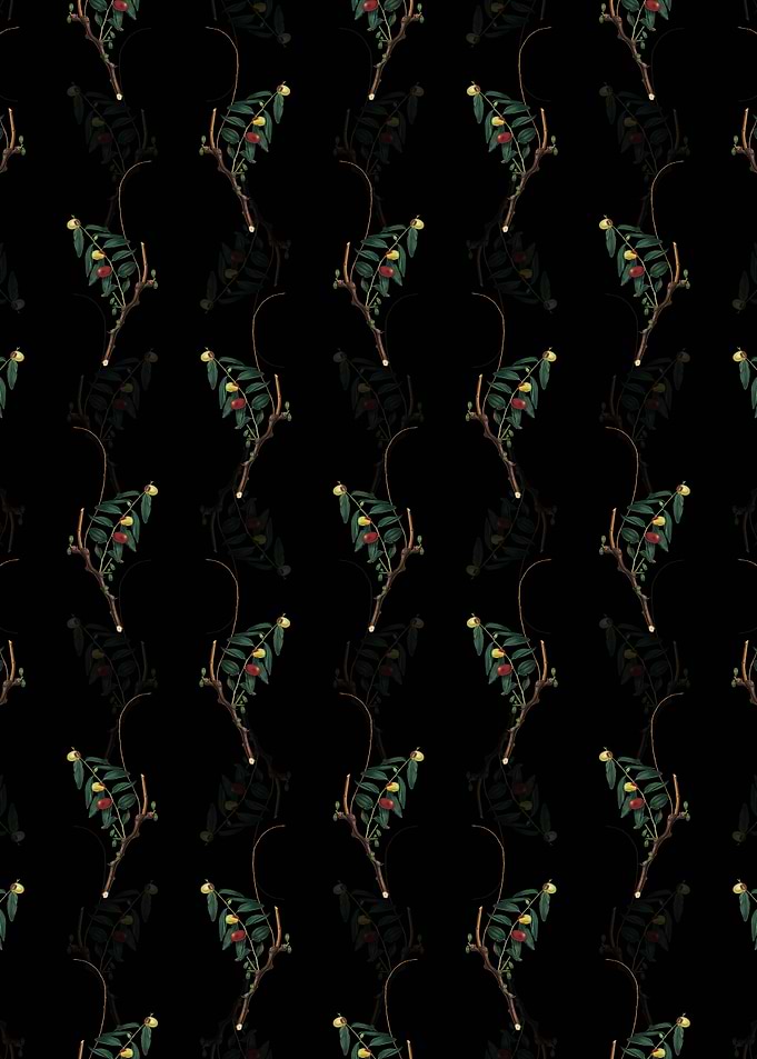Floral Jujube Pattern
