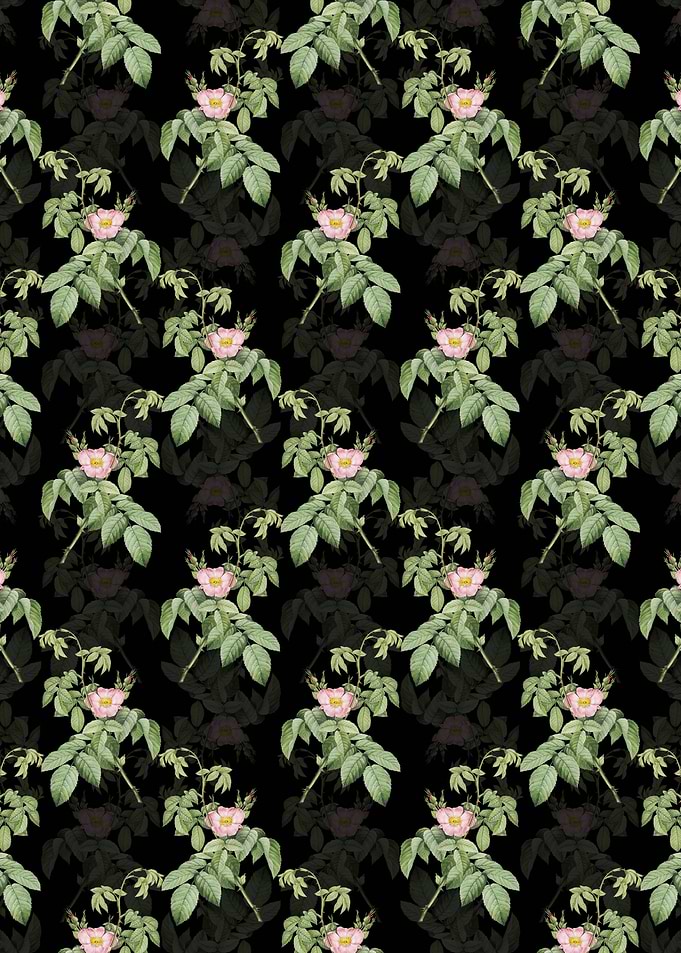 Floral Apple Rose Pattern