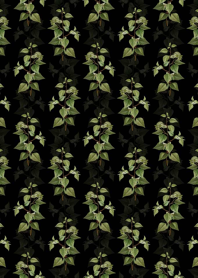 Floral Black Birch Pattern