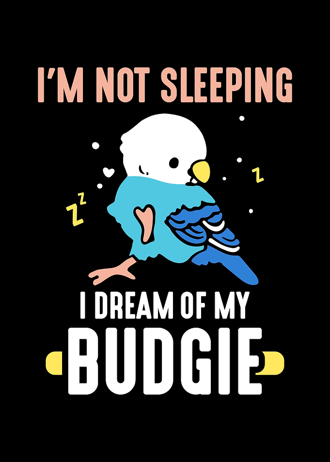 Budgie Budgeriga