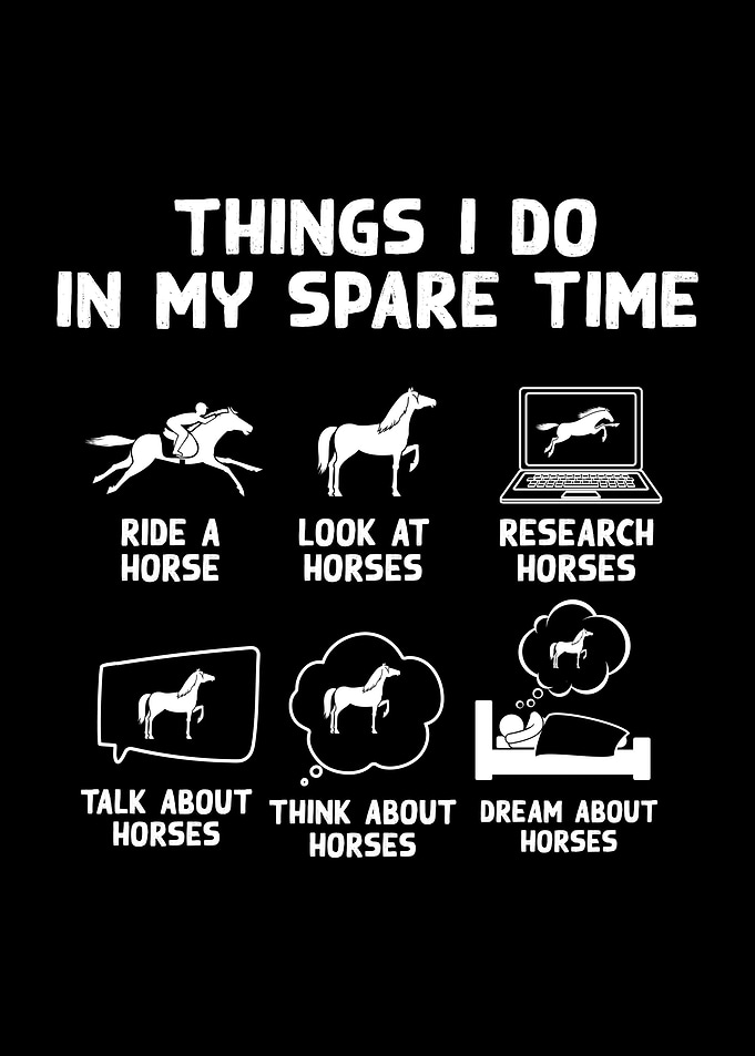 Horse Equestrian Horses