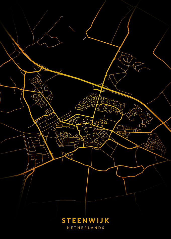 Steenwijk City Map