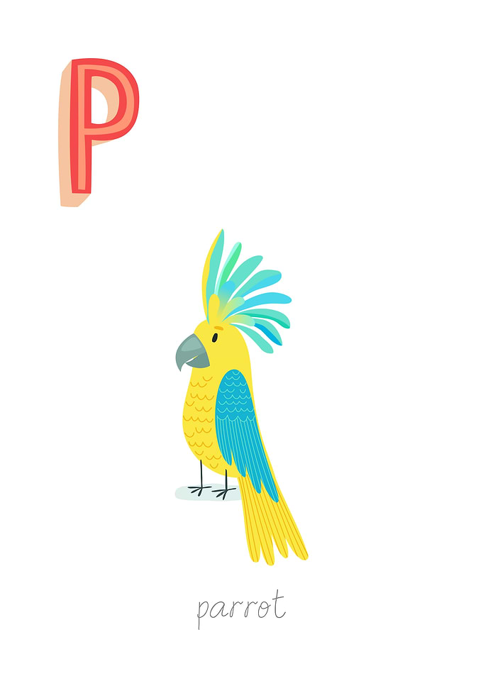 Animal Alphabet P Parrot