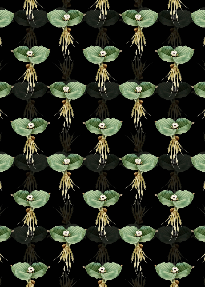 Floral Sand Ginger Pattern