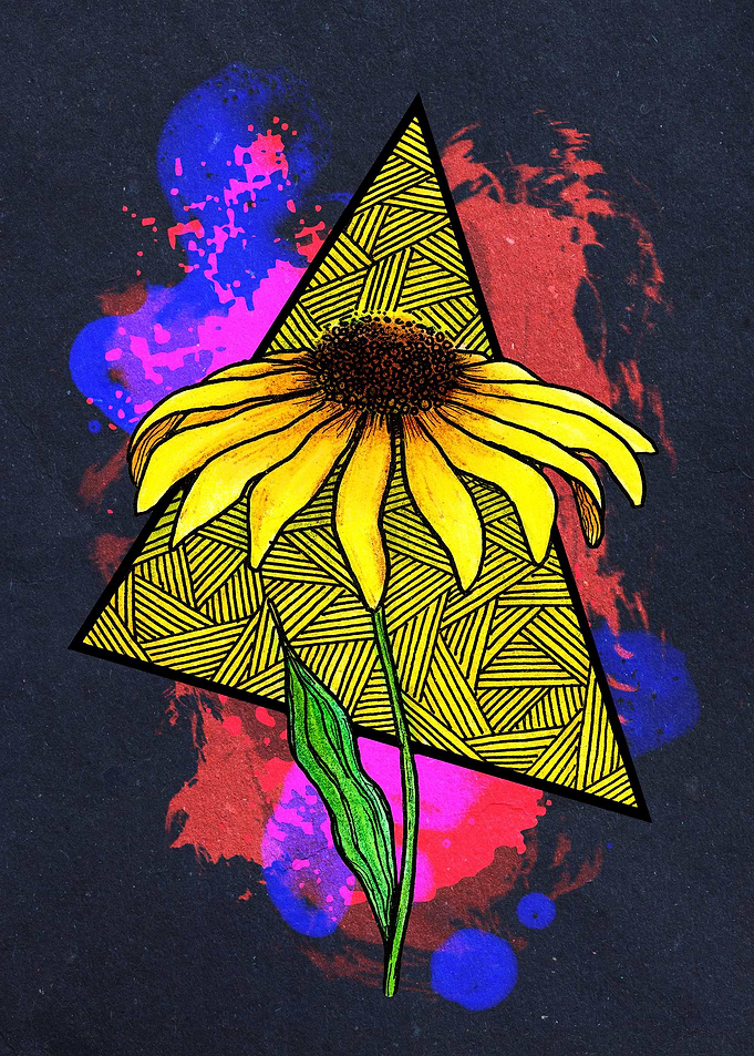 Black Eyed Susan Dark